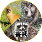 害獣