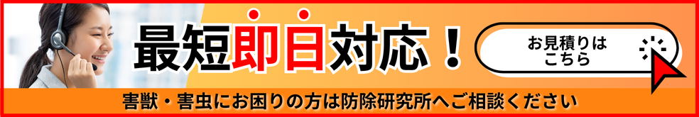今すぐ駆除依頼をする