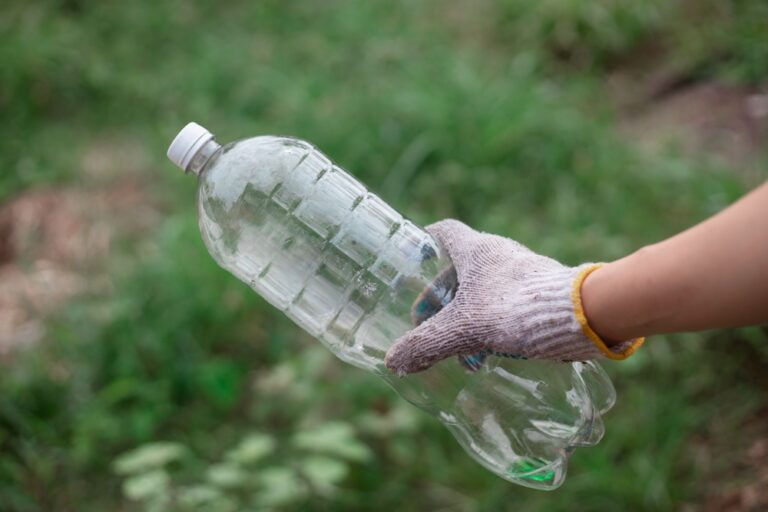 木酢液でネズミは駆除できる？木酢液の使い方とあわせて行うべき対策を解説