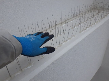 プロテクトバリア
