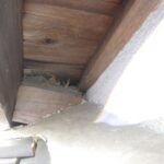 入母屋 侵入防止箇所