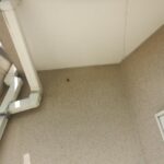 巣 確認