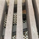 軒下飾り部 コウモリの生息を確認