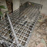 屋外外周 アライグマの捕獲回収