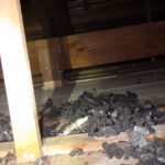 天井裏 イタチの糞害確認