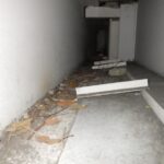 3階防火扉上部 ハトの巣確認